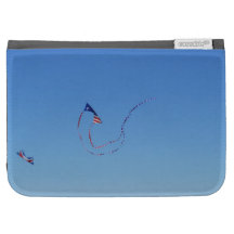 Red, White, and Blue Kite Kindle Folio Cases