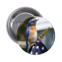 Red,White & Bluebird Pinback Button