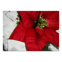 Red & White Poinsettias Card
