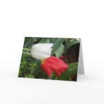 red white tulip card