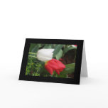red white tulips card