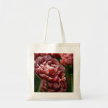 Red & White Variegated Tulip Macro DSC0802 Bag