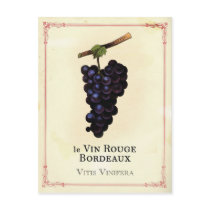 Red Wine Grapes Bordeaux Postcards