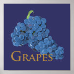 Red Wine Grapes posters