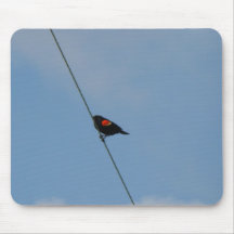 Red-winged Black Bird Mouse Pad