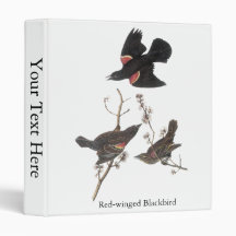 Red-Winged Blackbird, John Audubon Vinyl Binder