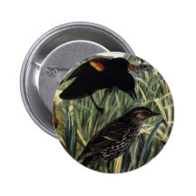 Red-Winged Blackbirds and Nest in Cattails Pins
