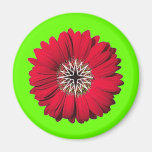 Red Xmas Daisy Magnets