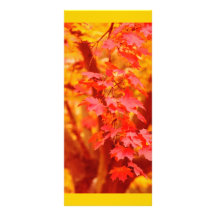 RED YELLOW AUTUMN LEAVES FALL MAPLE NATURE BEAUTY PERSONALIZED RACK CARD