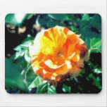 red-yellow roses #36 mouse mat
