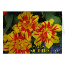 Red/Yellow Tulips, Mother's Day Greeting Card