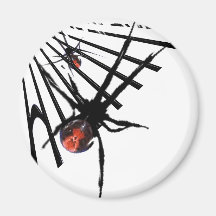 Redback Spider Fridge Magnet