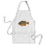 Redbreast Sunfish - Lepomis auritus Aprons