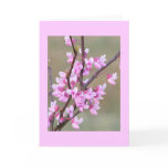 Redbud Bloom Greeting Cards