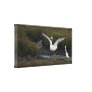 Reddish Egret II Wrapped Canvas