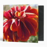 Reddish Marigold binders