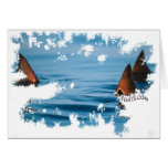 Redfish Tailin cards