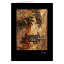 Redondo Rock Crab Greeting Card