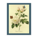 Redoute Print: 'Bengal Rose Hymanee' postcards