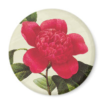 Redoute Red Camellia Botanical Print Magnet