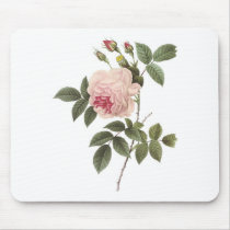 Redoute Rose 2 Mousepad