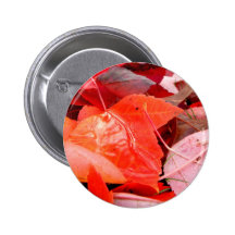 Reds Pinback Buttons