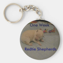 Redtie Puppy White German Shepherd Keychains