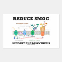 Reduce Smog Support Photosynthesis Sticker