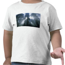Redwood National Park, Del Norte County, foggy Shirts