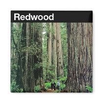 Redwood National Park Fridge Magnet