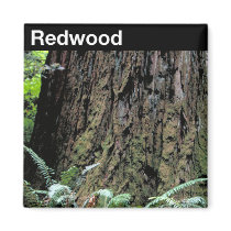 Redwood National Park magnets