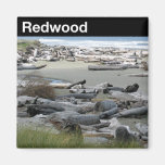 Redwood National Park Refrigerator Magnet
