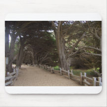 Redwood pathway mouse mats