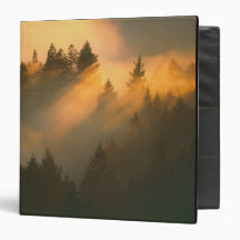 Redwood trees in coastal fog, Marin County, 3 Ring Binders