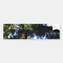 Redwoods Bumper Sticker