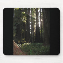 Redwoods Mouse Pad