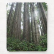 Redwoods Mouse Pad