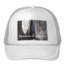 Redwoods & Sequoias Baseball Hat