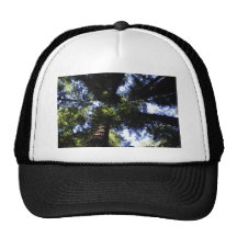 Redwoods Trucker Hats