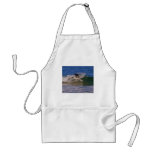 ree aprons