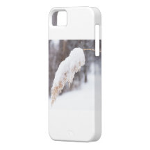 reed in snow iPhone 5 cover
