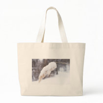reed in snow bags