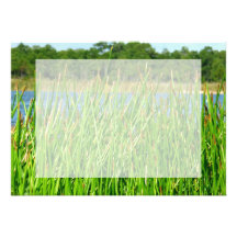 Reeds trees pond background announcement