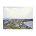 Reef_Dorado PR Post Cards