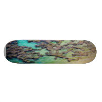 Reef Skateboard skateboards