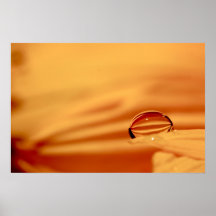Reflected Depths Posters