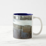 Reflection #5 Mug