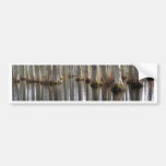 Reflection Bumper Stickers
