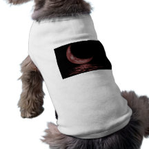 Reflection Crescent Moon On Lake Red Dog Clothes