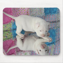 Reflection Mouse Mat